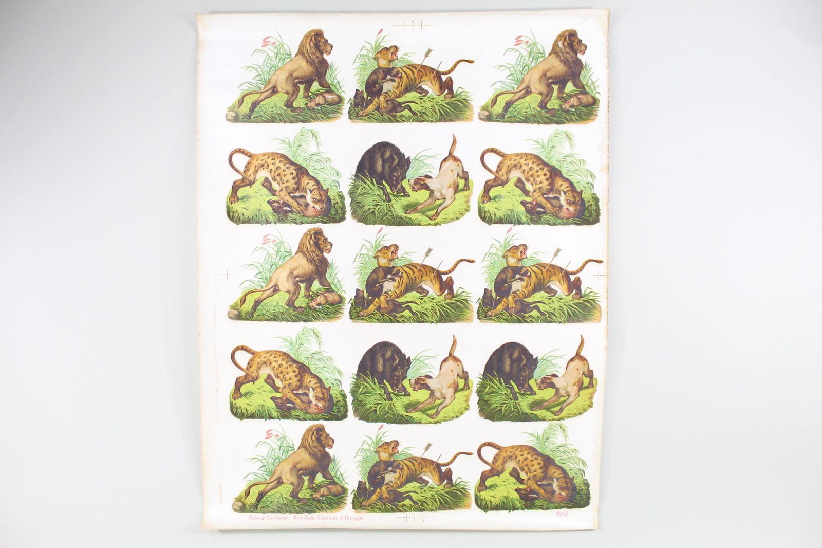 Tropical Jungle Animal Lion Leopard Tiger Wallpaper (1 of 12)