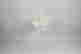 item-121339106=2