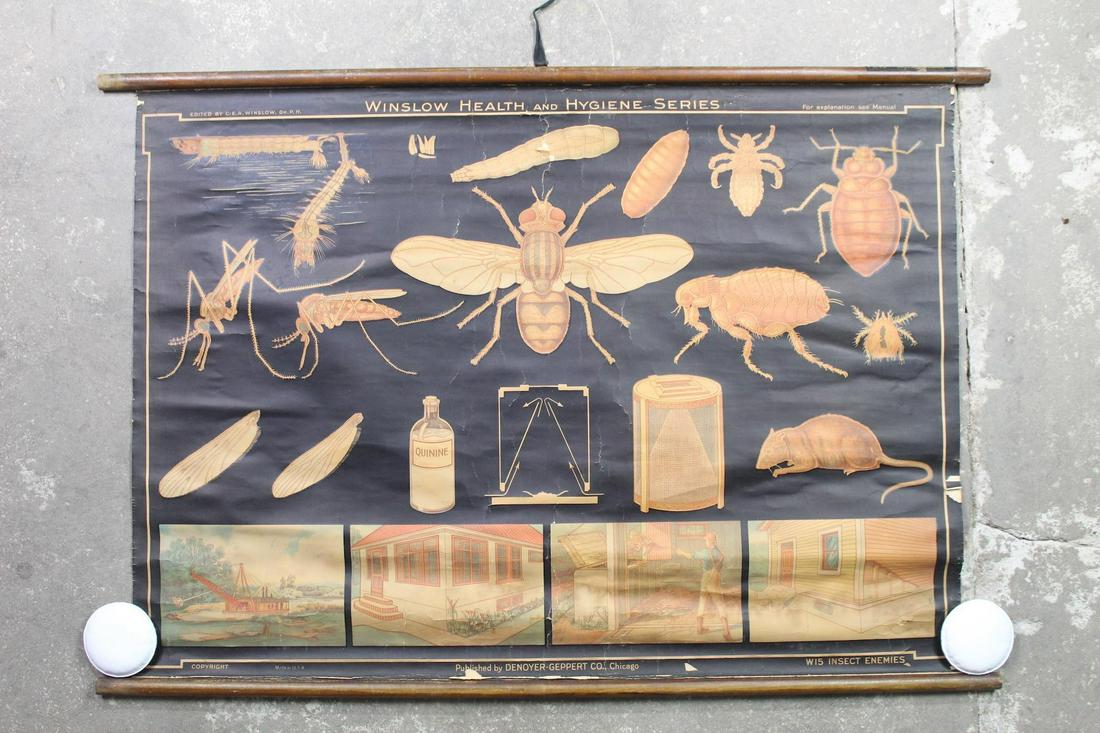 Antique Winslow Health & Hygiene Insect Enemies Chart (1 of 17)