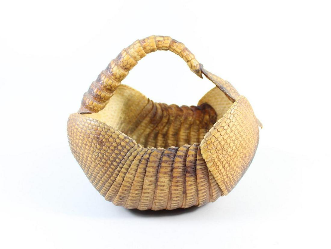 Armadillo Shell Basket, Southwest Folk Art,Taxidermy (1 of 9)