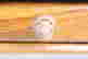item-128166146=4
