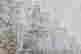 item-131748138=5