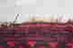 item-131748139=7