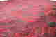 item-131748142=2