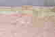 item-131748163=11