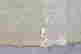item-131748164=18