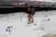 item-131748222=15