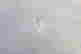 item-131748227=5