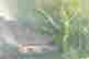 item-131748229=8