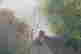 item-131748229=9