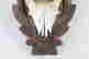 item-131748234=11