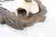 item-131748234=12
