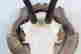 item-131748234=16