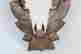 item-131748234=18