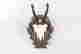 item-131748234=3