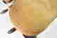 item-131748317=5