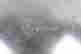item-131748341=12