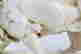 item-131748344=5