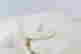 item-131748344=9