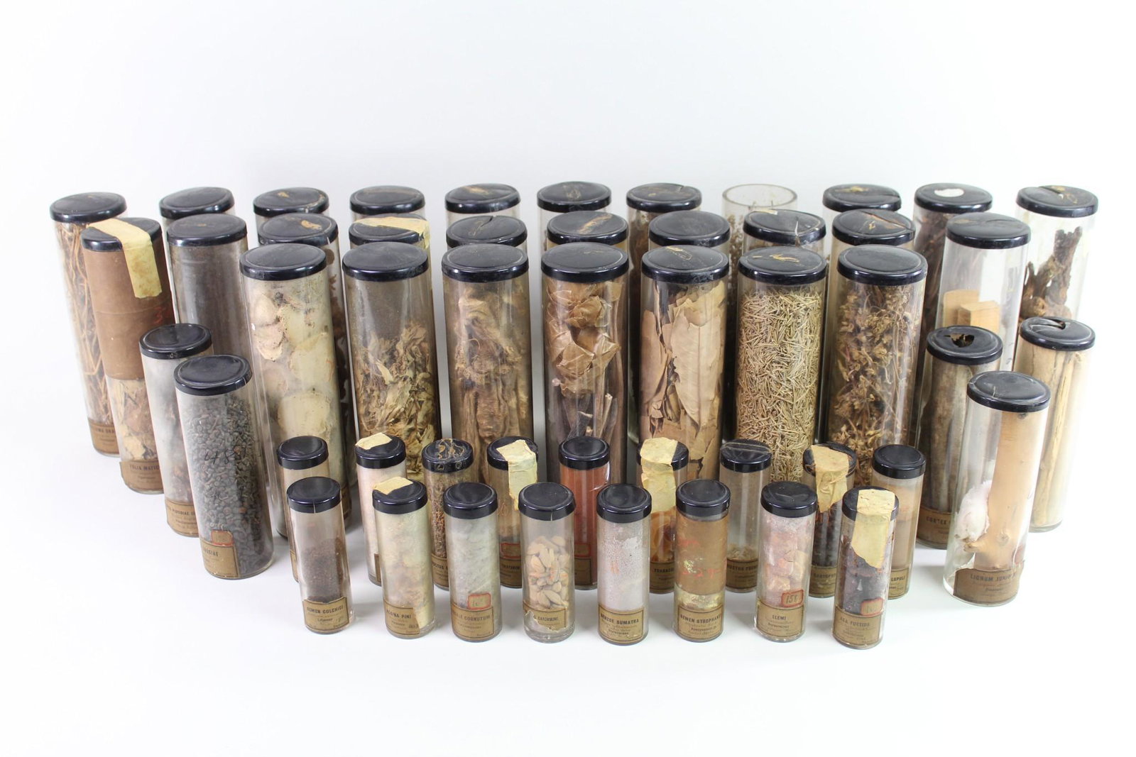 50 Jars of Plant, Seed & Herb Specimens, Herbarium: 50 Jars of Plant, Seed & Herb Specimens, Herbarium. Wonderful historical 19th or early 20th century collection of plant specimens in resin cylinder jars. Almost all labeled with Latin names, botanical