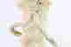 item-131748386=5