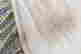 item-131748395=13