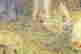 item-131748404=8