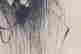 item-131748418=5