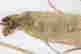 item-131748428=12