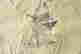 item-131748428=7