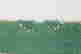 item-131748478=7