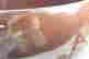 item-131748511=5