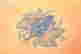 item-131748513=5