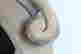 item-131748522=8