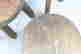 item-131748545=5
