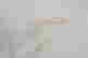 item-131748555=10