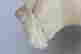 item-131748583=4