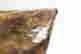 item-136328233=10