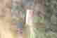 item-136328233=7