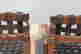 item-136328241=13
