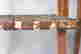 item-136328241=8