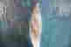 item-136328264=3