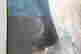 item-136328264=8