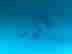 item-136328319=12
