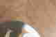 item-136328330=5