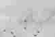 item-136328333=3