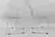 item-136328333=4