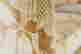 item-136328380=9