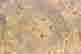 item-136328426=2