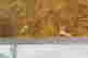 item-136328426=6